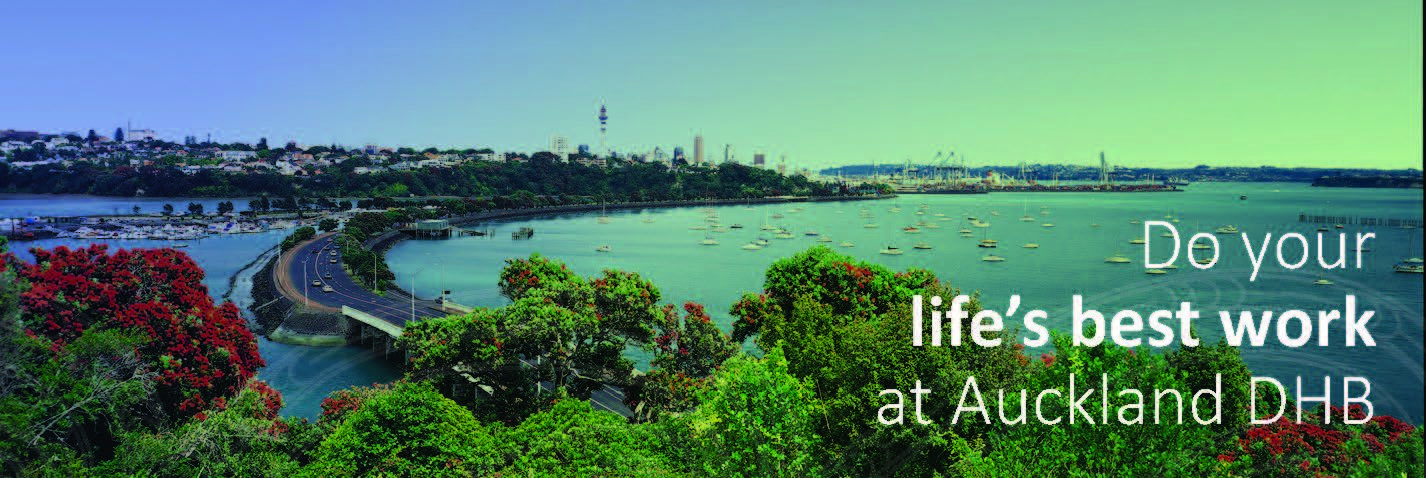 Auckland do your best road