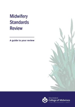 Midwifery Standards Review – a guide 2024