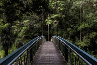 Te Tiriti o Waitangi eLearning